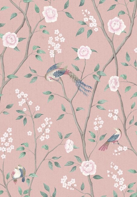 Paradise Birds 1901